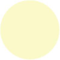 Cream Yellow 42