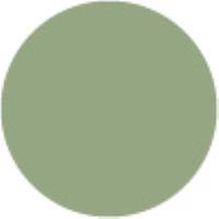 Grayish Olive Green GY233*