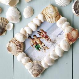Maquet SeaShell
