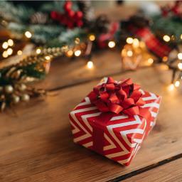 Christmas Gift Idea