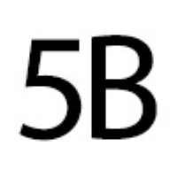 5B