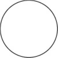 Zinc White 006