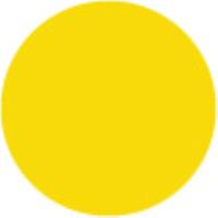  Dark Yellow 