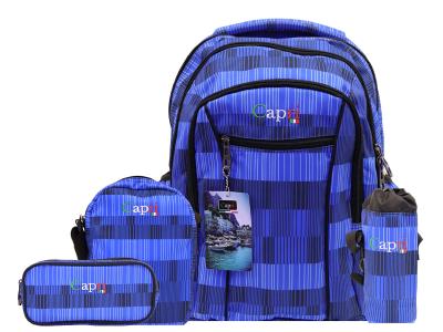 STA3030