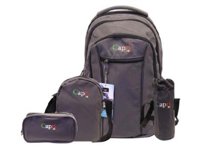 STA3033